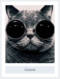VKontakte'da Profil Fotoğrafımıza Efekt Ekleyelim