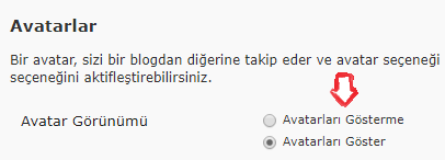 wordpress-avatarlari-gosterme