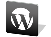 WordPress Etiket Kalıcı Bağlantı Ayarı Nasıl Yapılır?