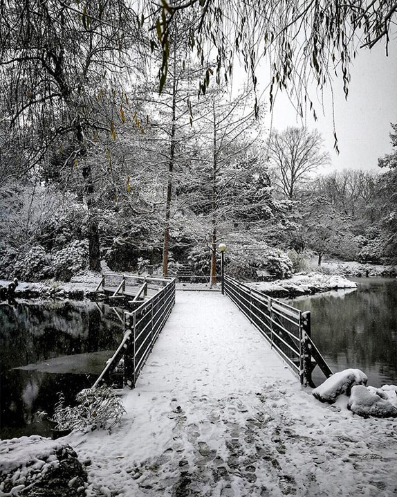 Huawei Mate 10 Pro ile Çekilmiş Kış Fotoğrafları - 2