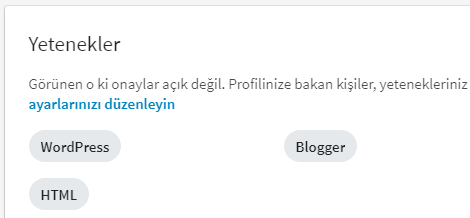 LinkedIn'de Yetenek Ekleme Nasıl Yapılır?