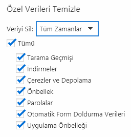 Vivaldi Browser Geçmiş Silme Nasıl Yapılır?