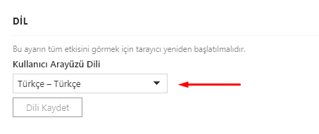 Vivaldi Browser'da Dil Değiştirme Nasıl Yapılır?