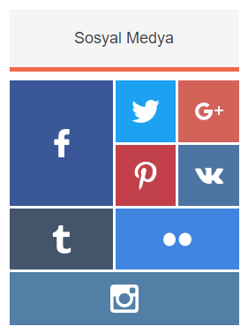 Blogger için Mükemmel Sosyal Medya Butonları (Benzersiz)