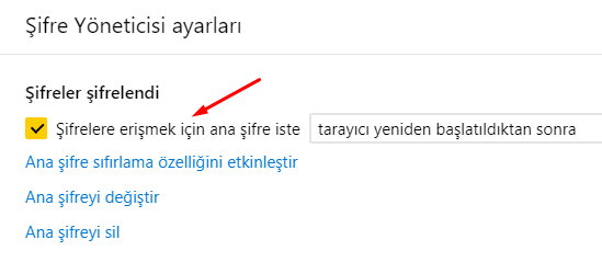 Yandex Browser ve Ana Şifre Hakkında Yandex Browser ve Ana Şifre Hakkında