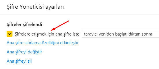 Yandex Browser ve Ana Şifre Hakkında