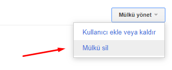 Search Console'da Mülk Silme Nasıl Yapılır?