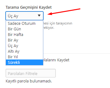 Vivaldi Browser Geçmişi Sürekli Kaydetsin Vivaldi Browser Geçmişi Sürekli Kaydetsin