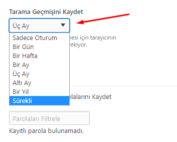 Vivaldi Browser Geçmişi Sürekli Kaydetsin