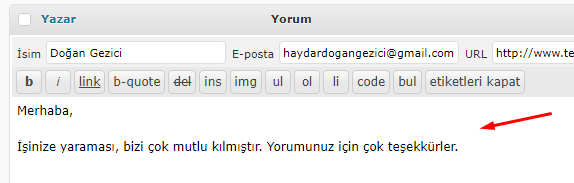 WordPress Hızlı Yorum Düzenleme Nasıl Yapılır?