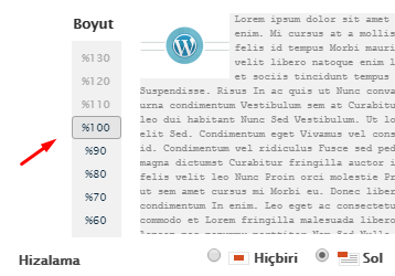 WordPress Resim Boyutlandırma (Ölçeklendirme) Nasıl Yapılır? WordPress Resim Boyutlandırma (Ölçeklendirme) Nasıl Yapılır?