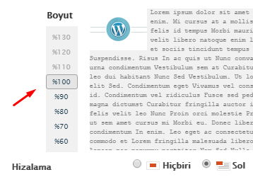 WordPress Resim Boyutlandırma (Ölçeklendirme) Nasıl Yapılır?