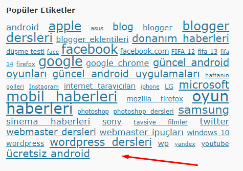 WordPress Popüler Etiketleri Görüntülemek (Eklentisiz)