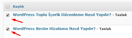 WordPress Toplu İçerik Düzenleme Nasıl Yapılır?