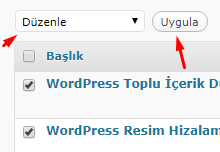 WordPress Toplu İçerik Düzenleme Nasıl Yapılır?