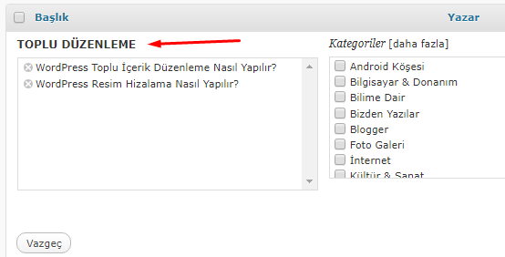 WordPress Toplu İçerik Düzenleme Nasıl Yapılır? WordPress Toplu İçerik Düzenleme Nasıl Yapılır?