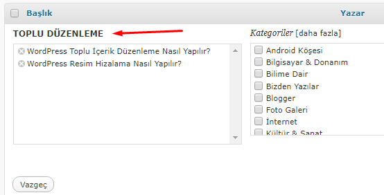 WordPress Toplu İçerik Düzenleme Nasıl Yapılır?