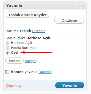 WordPress Ziyaretçilere Yazı Gizleme Nasıl Yapılır? WordPress Ziyaretçilere Yazı Gizleme Nasıl Yapılır?