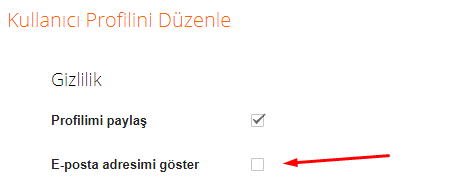 Blogger Profilimde E-Posta Adresimi Nasıl Gösterebilirim?