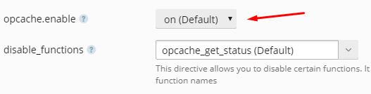 Plesk Obsidian'da OPcache Aktif Etme Nasıl Yapılır?