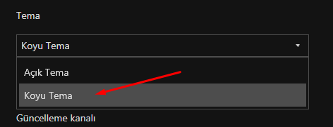 AdGuard Koyu Tema Aktif Etme Nasıl Yapılır? AdGuard Koyu Tema Aktif Etme Nasıl Yapılır?