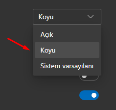 Microsoft Edge Insider Koyu Tema Açma Nasıl Yapılır?