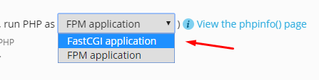 Plesk Obsidian'da FastCGI Kullanımı Nasıl Yapılır?