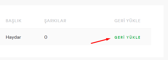 Spotify'da Silinen Çalma Listesini Geri Getirelim