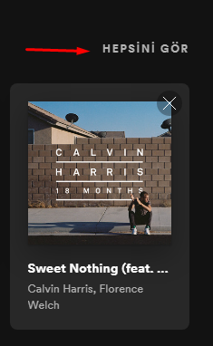 Spotify Arama Geçmişi Temizleme Nasıl Yapılır? Spotify Arama Geçmişi Temizleme Nasıl Yapılır?