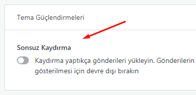 WordPress.com Sonsuz Kaydırma Kapatma Nasıl Yapılır?