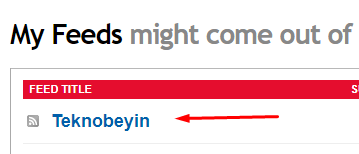 FeedBurner RSS Sayfası Türkçe Nasıl Yapılır?