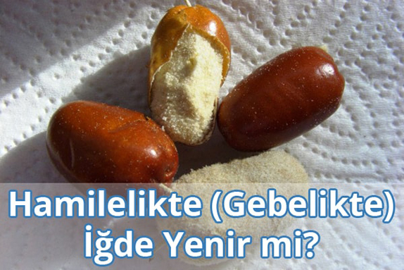 Hamilelikte (Gebelikte) İğde Yenir mi? Hamilelikte (Gebelikte) İğde Yenir mi?