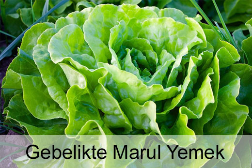 Hamileler Marul Yiyebilir mi?