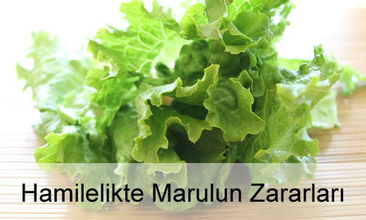 Hamilelikte Marul Zararlı mı?