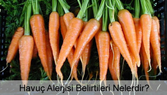 Havuç Alerjisi Belirtileri Nelerdir?