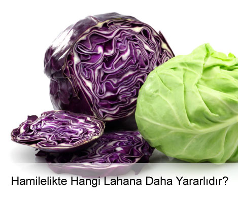 Kırmızı Lahana mı? Beyaz Lahana mı? Kırmızı Lahana mı? Beyaz Lahana mı?
