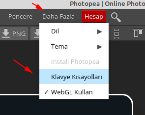 Photopea Klavye Kısayollarını Öğrenelim