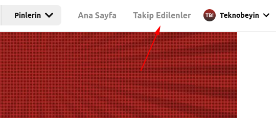 Pinterest Takip Ettiklerimi Nasıl Görebilirim? Pinterest Takip Ettiklerimi Nasıl Görebilirim?