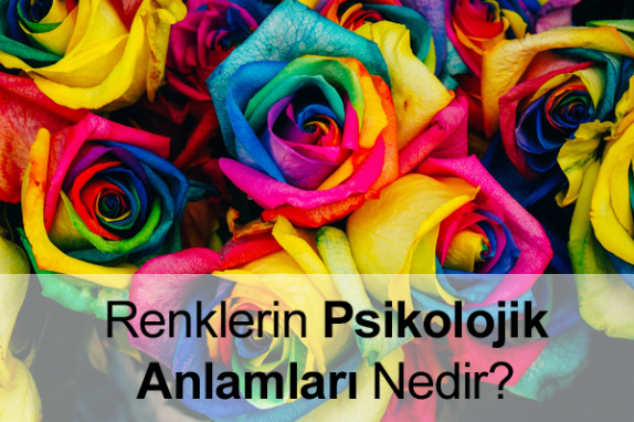 Renklerin Psikolojik Anlamları Nelerdir?