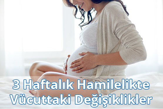 3 Haftalık Hamilelikte Vücuttaki Değişiklikler 3 Haftalık Hamilelikte Vücuttaki Değişiklikler