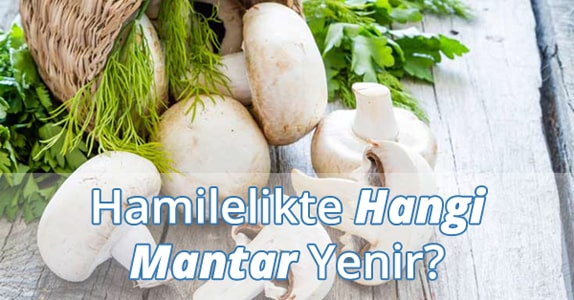 Hamilelikte (Gebelikte) Hangi Mantar Yenir?