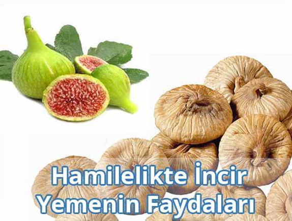 Hamilelikte (Gebelikte) İncir Yemenin Faydaları