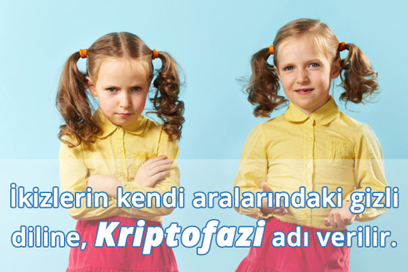 Kriptofazi Nedir?