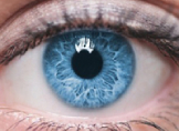 Gözün Kısımları Nelerdir? Görme Olayı Nasıl Gerçekleşir?