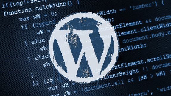 WordPress Güvenlik Rehberi