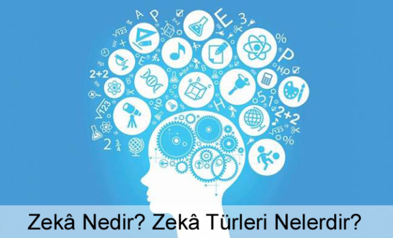Zekâ Nedir? Zekâ Türleri Nelerdir? Zekâ Nedir? Zekâ Türleri Nelerdir?