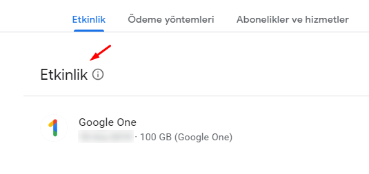 Google Pay ile Yapılan Etkinliklerimizi Görüntüleyelim