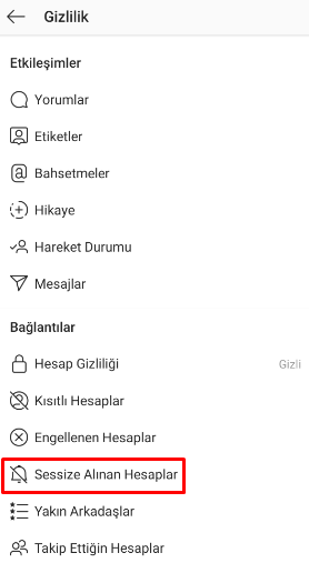 Instagram Sessizden Nasıl Çıkarılır?