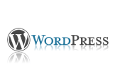 WordPress Yazı Düzenleme Sayfasını Hızlandıralım