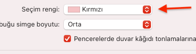 Apple Bilgisayar Seçim Rengi Değiştirme Apple Bilgisayar Seçim Rengi Değiştirme